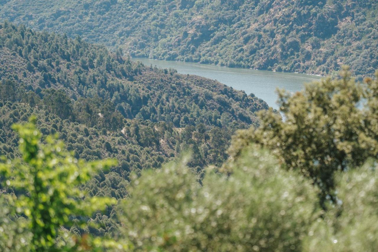 Casa Das Arribas - Rio Douro Aos Seus Pes Vendégház Bemposta  Kültér fotó