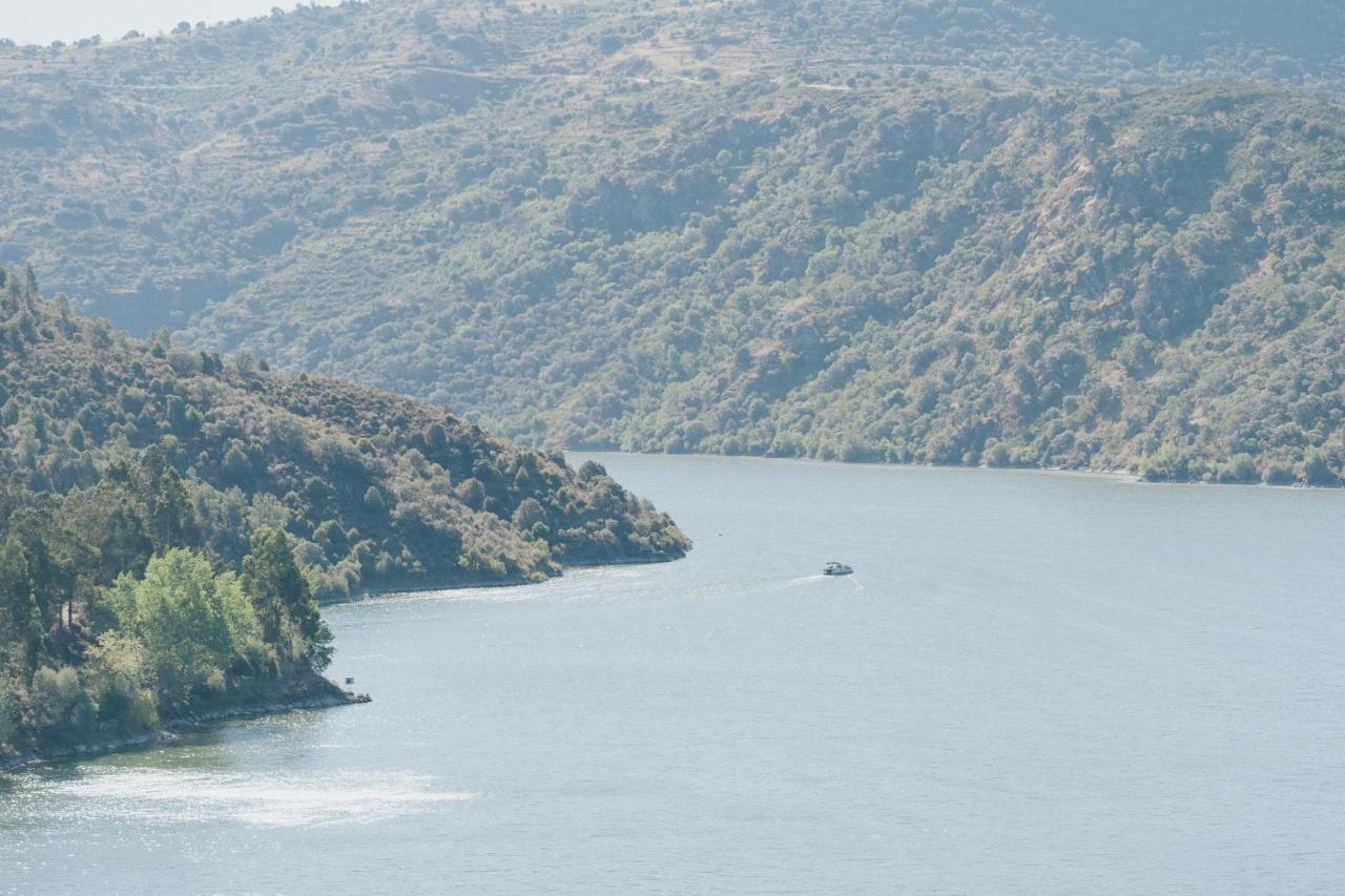 Casa Das Arribas - Rio Douro Aos Seus Pes Bemposta  Kültér fotó