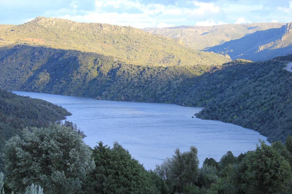 Casa Das Arribas - Rio Douro Aos Seus Pes Bemposta  Kültér fotó